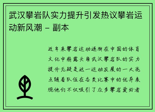 武汉攀岩队实力提升引发热议攀岩运动新风潮 - 副本